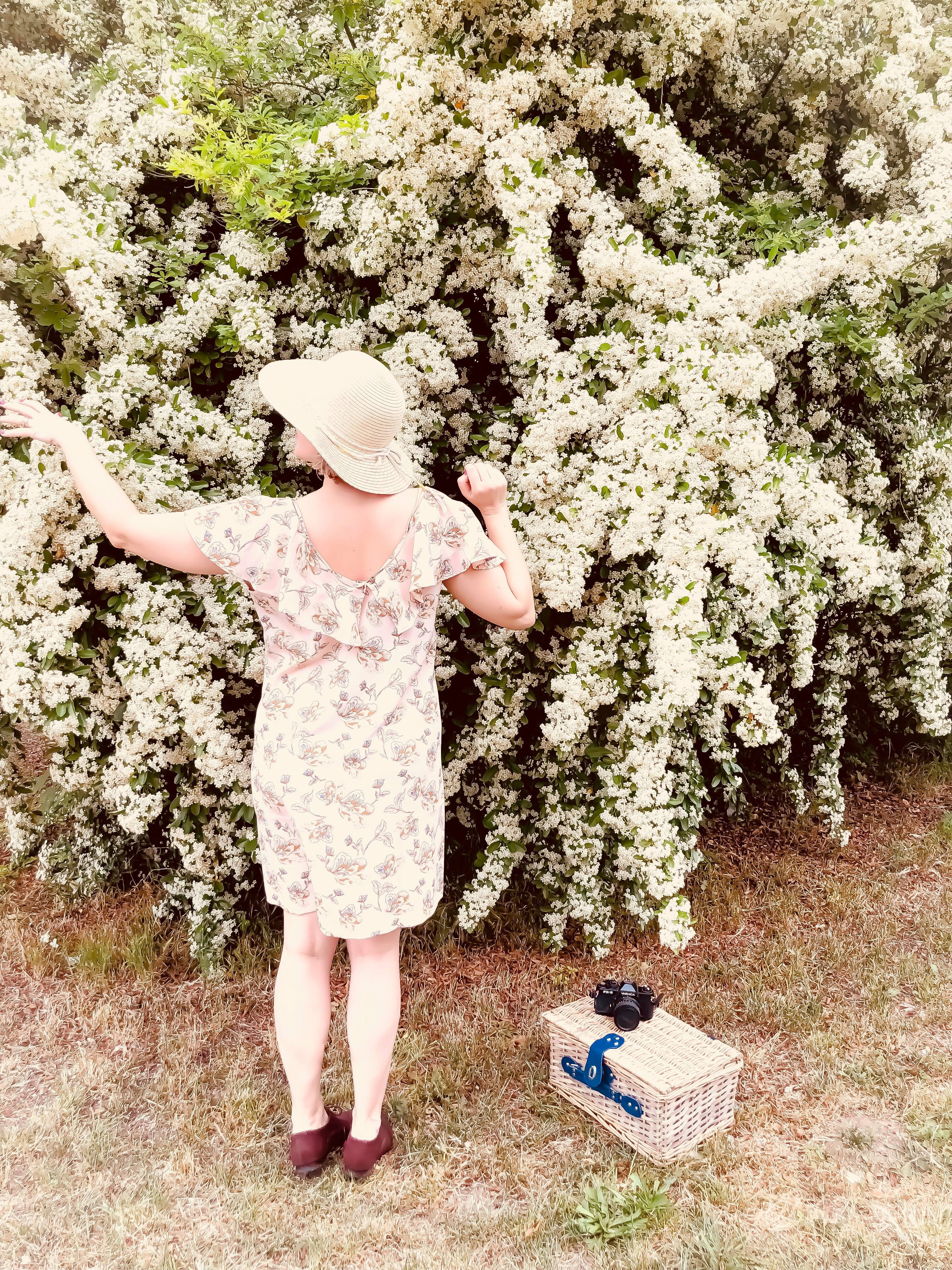 34017342_10209068602512304_5567450055788462080_n