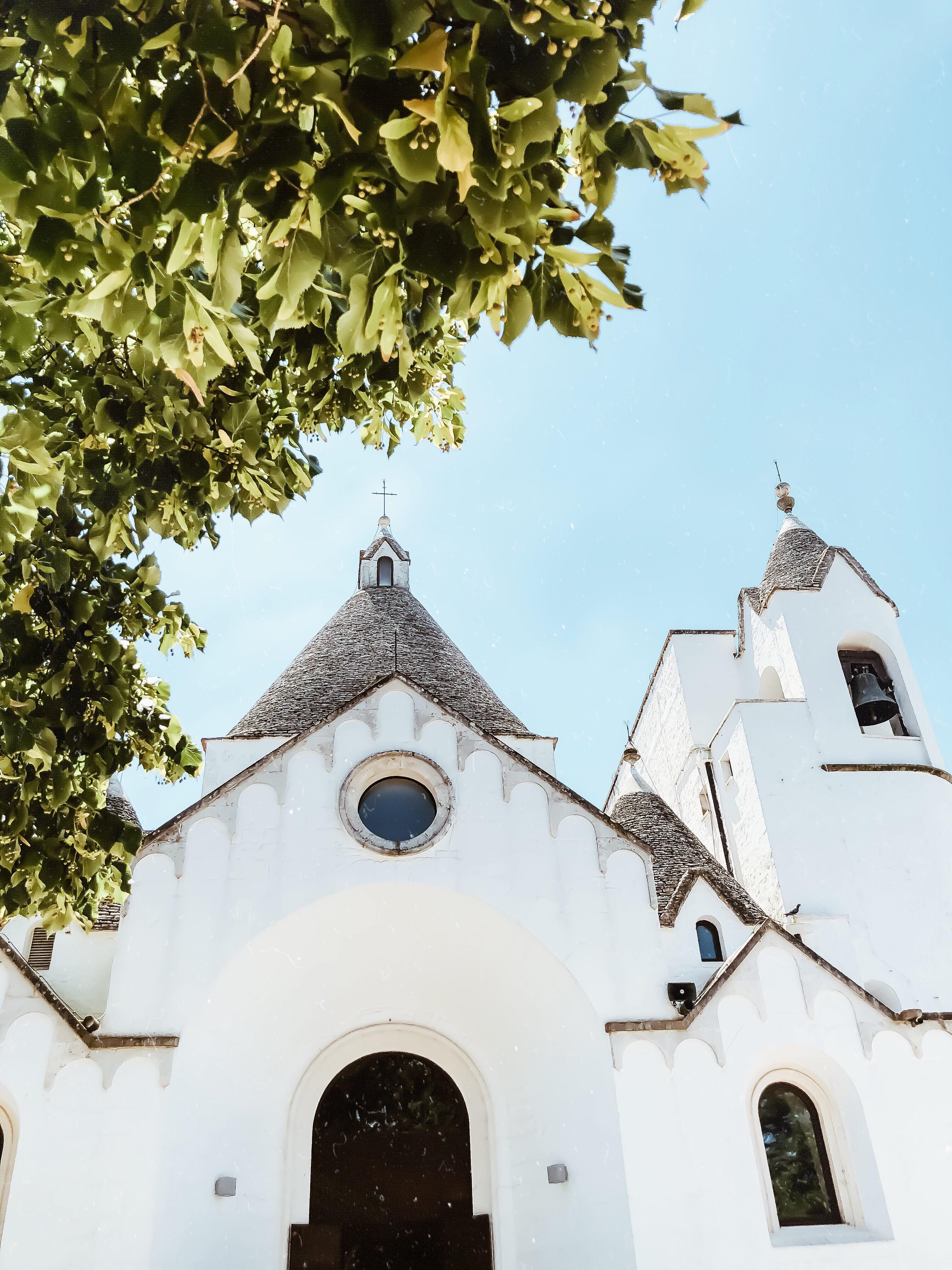 38008010_10209401258668500_3866527106879979520_n (1).jpg