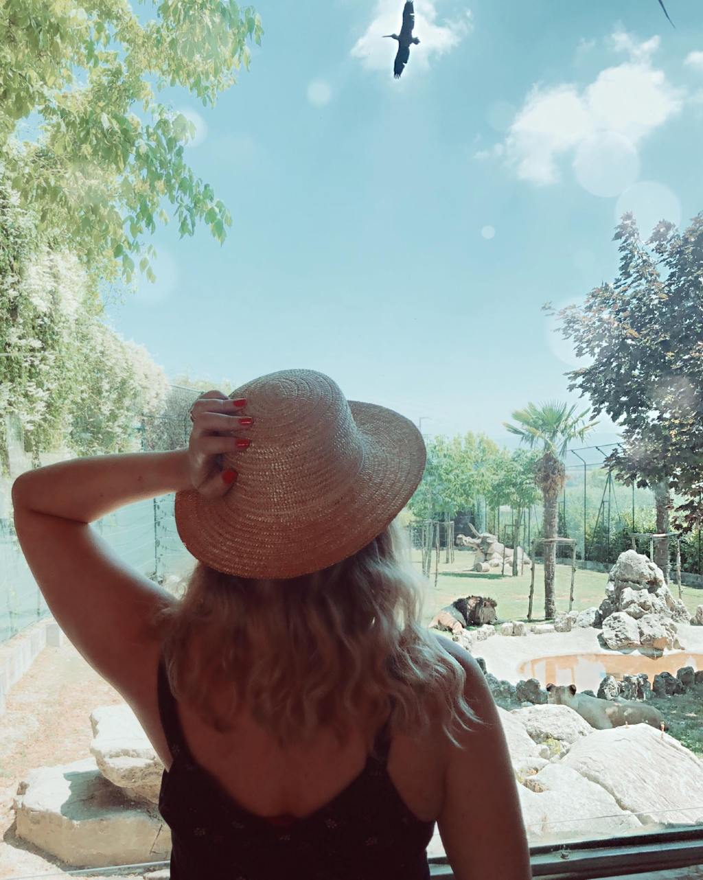 Family in Viaggio – Andiamo allo&nbsp;Zoo